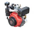  Vitals DM 10.0sne